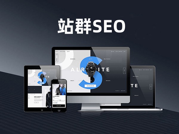 站群SEO